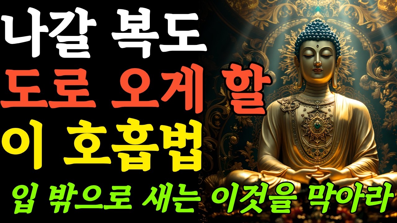 부처님말씀ㅣ운명을 바꾸고 싶다면 입 밖으로 새는 이것부터 막아라ㅣ부처님가르침ㅣ마음공부ㅣ인생조언ㅣ오디오북