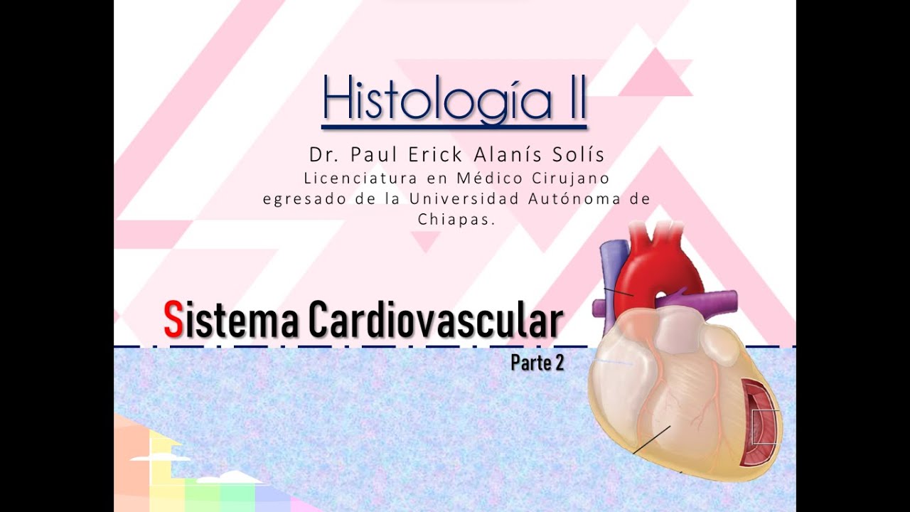 Histología de Sistema Cardiovascular - Vasos sanguíneos