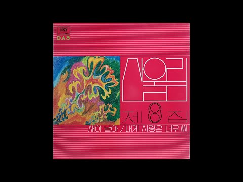[모노+모노 뮤직] 그럴수도 있겠지 - 산울림 (1982) LP