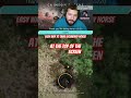 Easiest way to tame a horse in Crimson Desert- legendary edition #crimsondesert