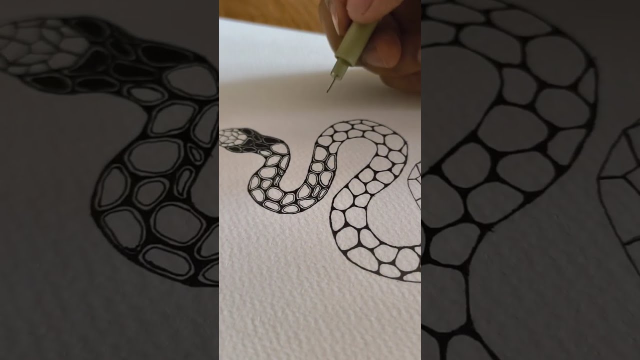 Relaxing Snake Illustration | Minimal Ink Art