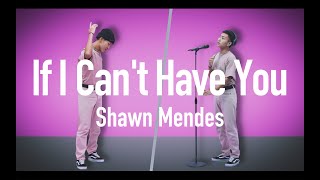 Download Lagu Shawn Mendes - If I Can't Have You (Cover by Ayumu Imazu) MP3