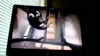 Closing To Space Buddies 2009 Dvd