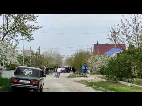 Цыгане устроили массовые беспорядки в Изобильном