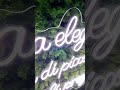 Eleganza in neon ✨ Dettagli che fanno la differenza 💡 #neonplex #neonart #neonplex #neon #music