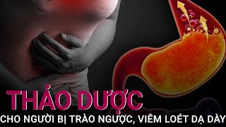 [Sống khỏe mỗi ngày] Thảo dược cho người bị trào ngược và viêm loét dạ dày | VTC Now