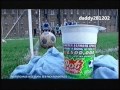 Pot Noodle &#39;Soccer Scandal Special&#39; Advert 16 05 1998