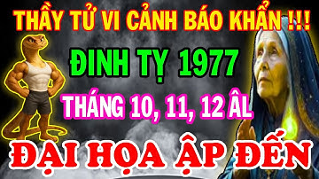 Cảnh Báo Chấn Động Từ Thầy Tử Vi: Đinh Tỵ 1977 TRÁNH NGAY ĐIỀU NÀY 3 Tháng Cuối Năm 2025!