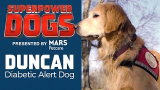 Diabetic Alert Dog: Duncan | Superpower Dogs