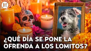 They come home too! Everything you need to include on your pet's Day of the Dead altar