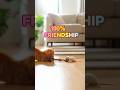 This Kitten Refuses to Chase Her Mouse Friend #adorable #shorts #pets