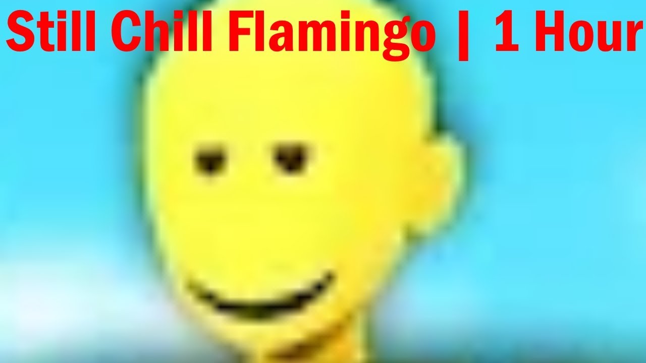 STILL CHILL FLAMINGO 1 HOUR EDITION YouTube