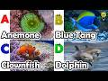 ABC Sea Animals Song 🐠 | Learn Alphabet A to Z with Ocean Animals | Kids Learning Video for Toddlers
