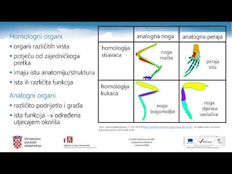 Video: Koji su dokazi koji potvrđuju teoriju pomaka kontinenta?