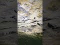 Come Take A Hike With Me; Heritage Preserve Edition Part 22