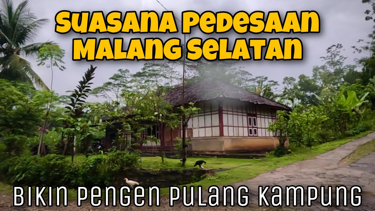 Suasana Pedesaan Malang Selatan Bikin Pengen Pulang Kampung #suasanapedesaan