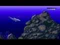 Let's Walk Through Ecco: The Tides of Time - Maze of Stone