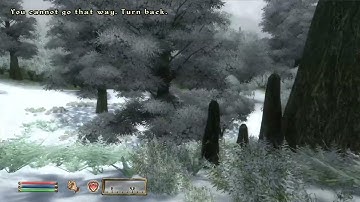 Day 279 - Killing Adoring Fan Every Day Until Elder Scrolls Skyblivion is Released