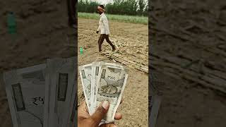 mehnat karo#village vlog#farming#tranding#shorts#viral