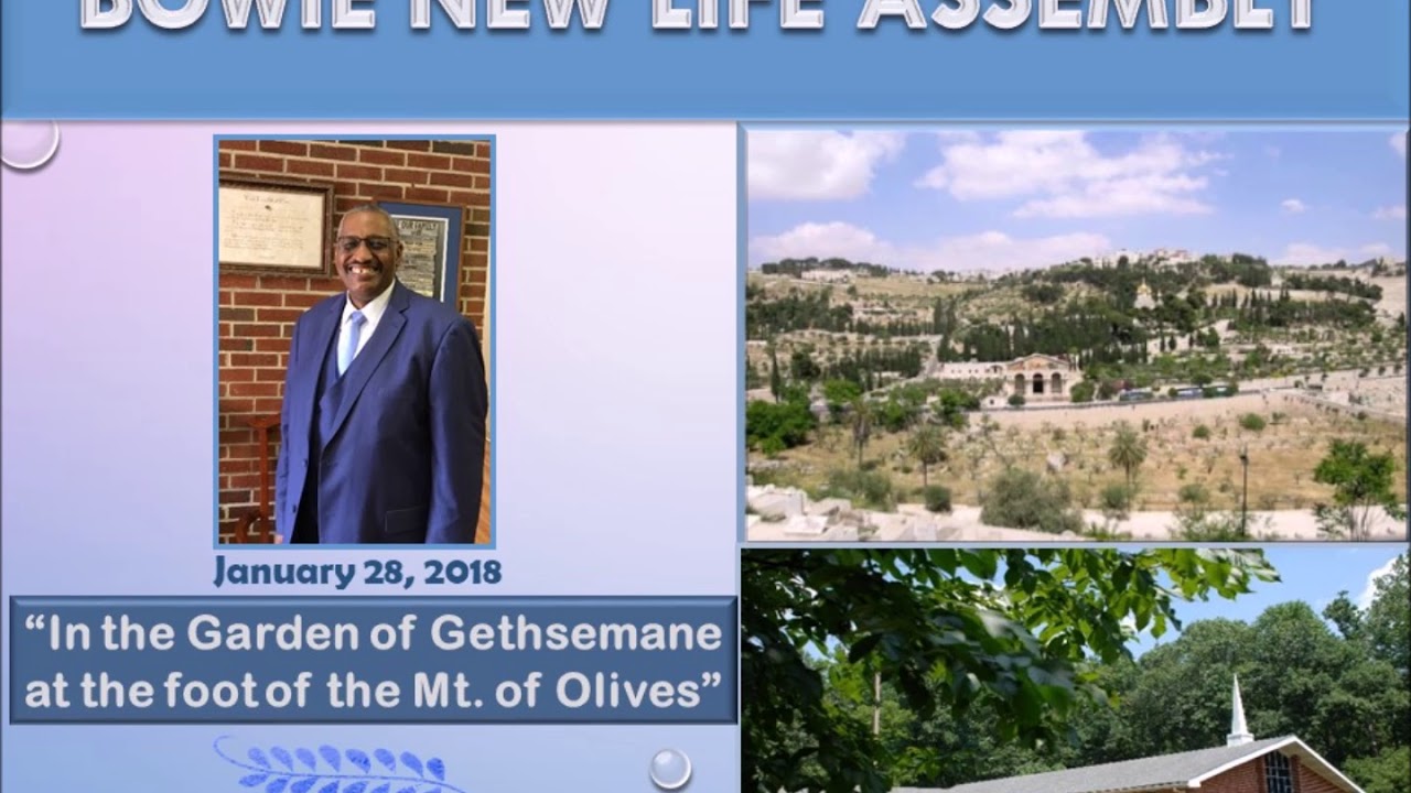 BNLA Sermon "In the Garden of Gethsemane at the foot of the Mt. of
