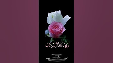 صباح الخير 🌺 حالات واتس اب مقاطع 🌺 قصيره قران كريم سورة طه وإني لغفار لمن تاب🌺احمد النفيس بدون حقوق