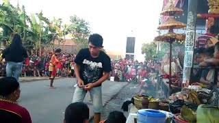 Rogo samboyo putro live jetis pace