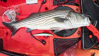 Kayak Fishing and No Live Bait?  Plan B – use a Scented Lure