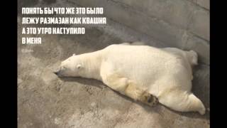 Прикольные картинки и смешные демотиваторы! Прикольные картинки и смешные демотиваторы!