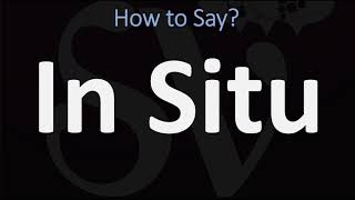 How to Pronounce In Situ? (CORRECTLY)