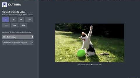 How to convert an image to a video