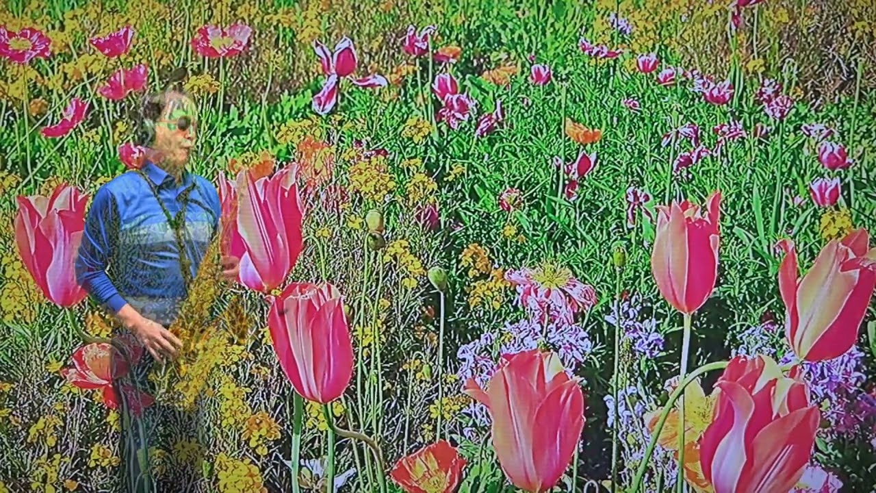 아직도못다한사랑(솔개트리오)/박충열테너색소폰260302