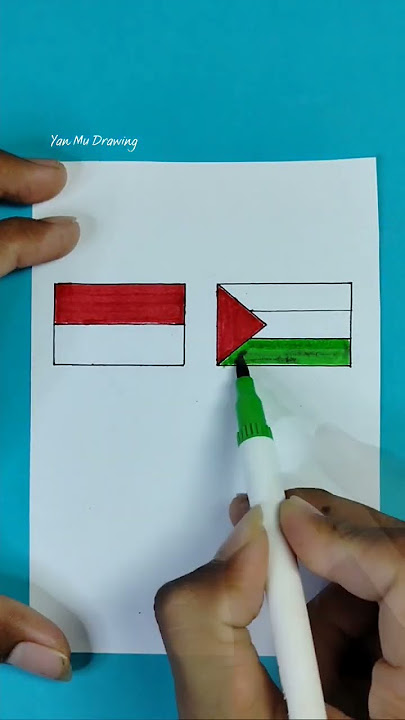 bendera Indonesia & palestina #shorts