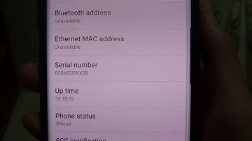 Galaxy S10 / S10+: How to Find the Serial number