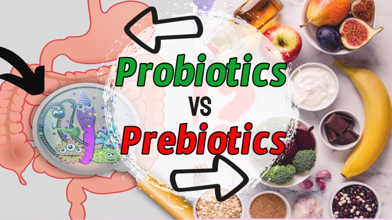 THE TRUTH ABOUT Probiotics & Prebiotics foods! Beginners Guide! - YouTube