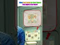 What Perk Points Do Most Players Pick Right At The Start? #Fallout #FalloutTVShow