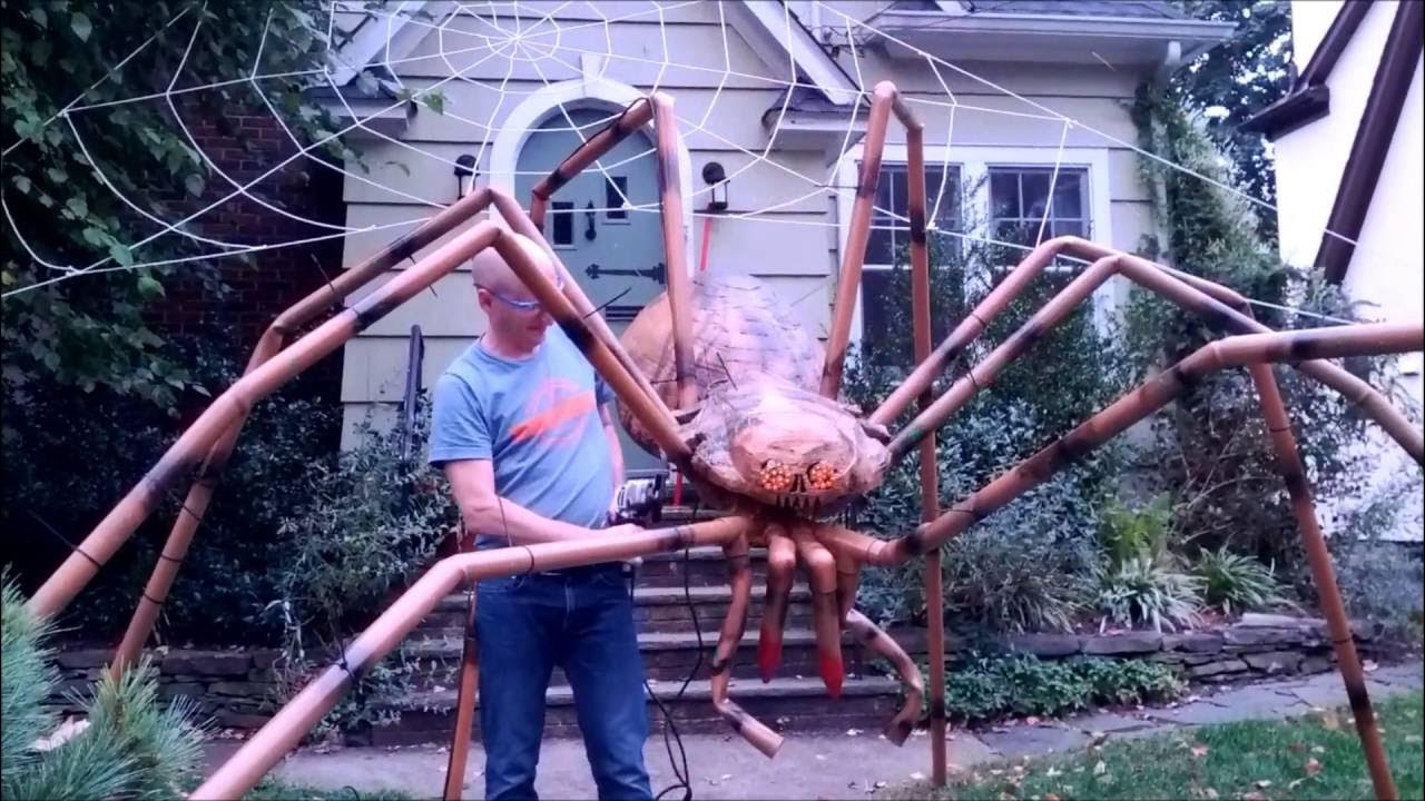 Алиса включи паука. Огромный паук. Самые большие пауки. Пауки гиганты. Огромадные пауки.
