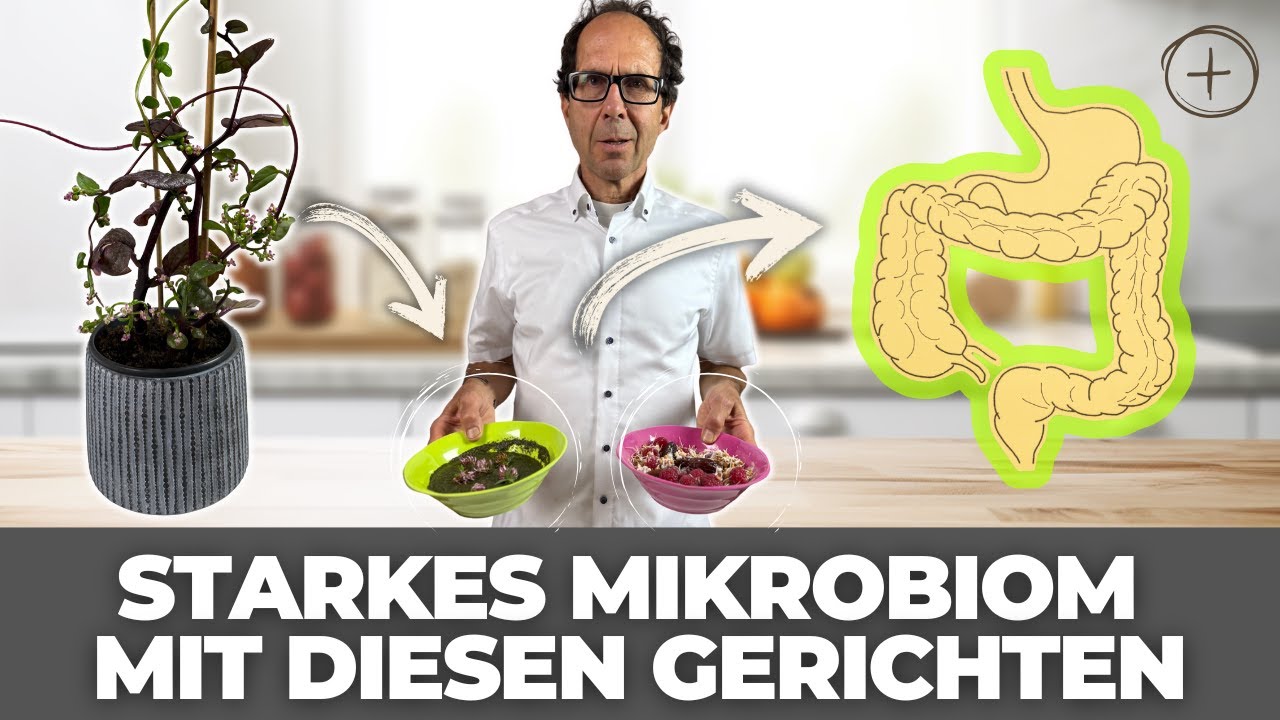 Mikrobiom aufbauen: Die besten Frühstücksrezepte & Wildkräuter-Alternativen