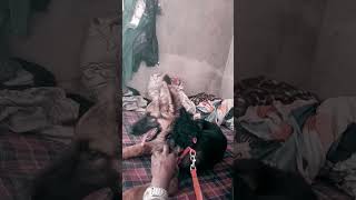 chor pakdane ke liye Rakha Hai #viral #reels #shortvideo #dog #dogvideo #doglove  #funny