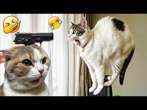 видео: Try Not To Laugh🤣🦮Funniest Cats and Dogs 2024🐶Part 17