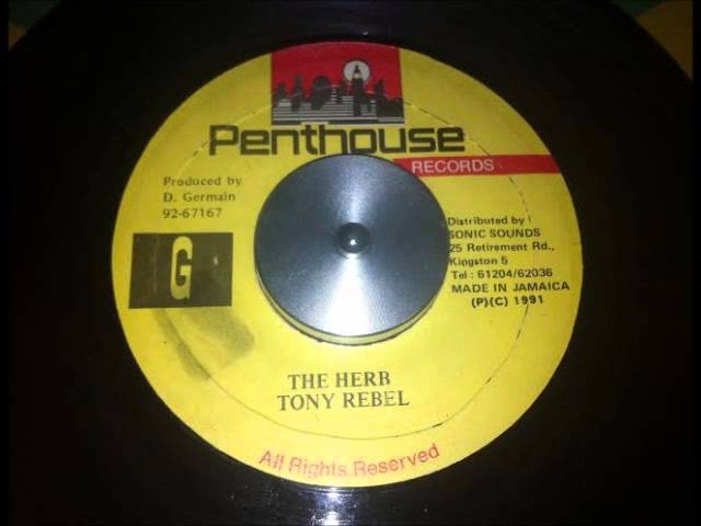 Tony Rebel - The Herb
