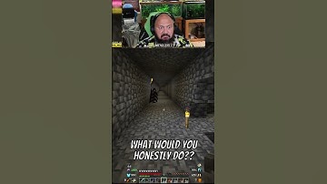 What would you do part 2?! #clips #reels #shorts #minecraftclips #minecraft #java #HARDCORE