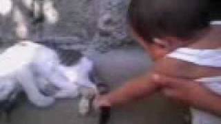 Video012.3gp