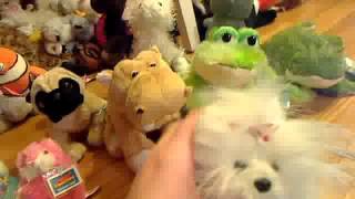 Webkinz code contest!!! CLOSED!!!!!!!!