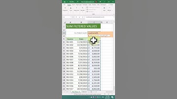 Sum VISIBLE rows ONLY in Excel - SUBTOTAL Formula