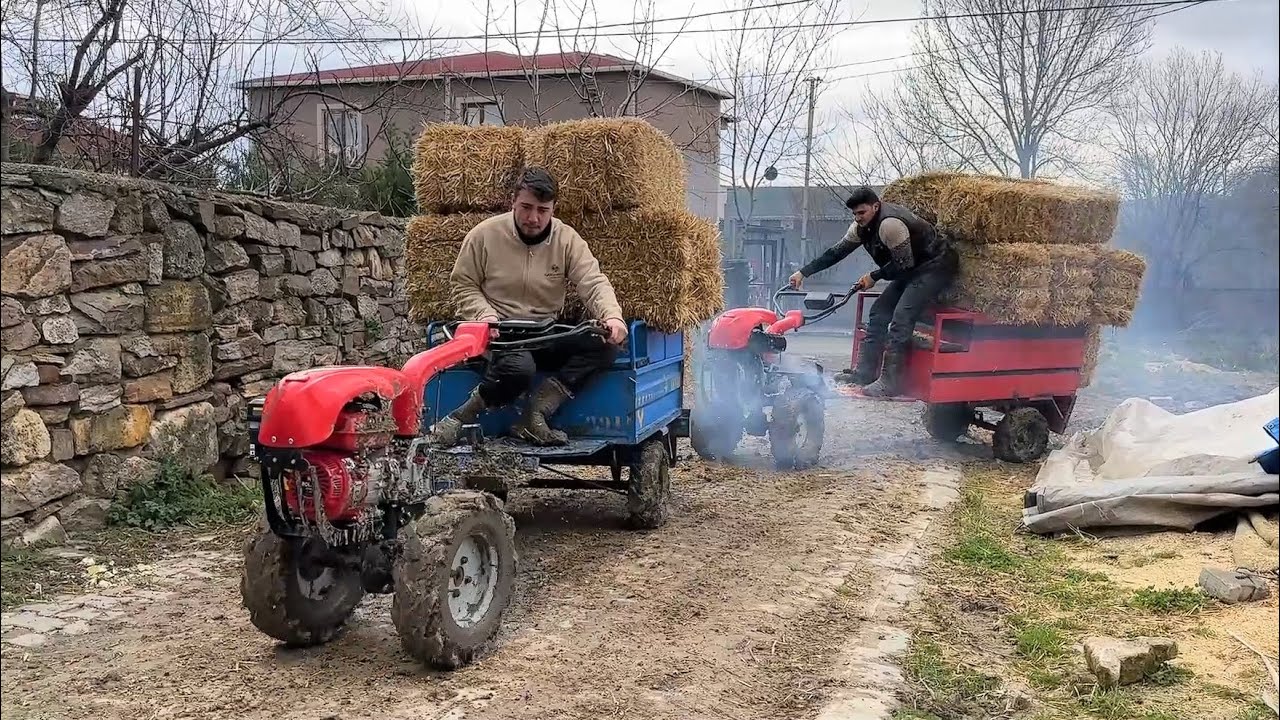 PATPATLARIN CANINI OKUDUK / SAMAN NAKLİYESİ