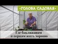 Голова садовая - Где баклажанам и перцам жить хорошо