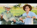 Engorda de Mojarra Tilapia | Sistema abierto | Oxigenación de manera natural | Granjas acuícolas