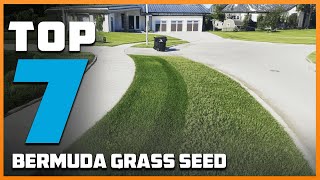 7 Best Bermuda Grass Seed Varieties for a Green Yard