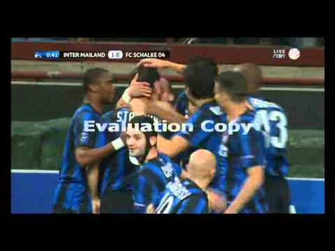 Inter Mailand Vs Schalke 04 Stankovic Traumtor