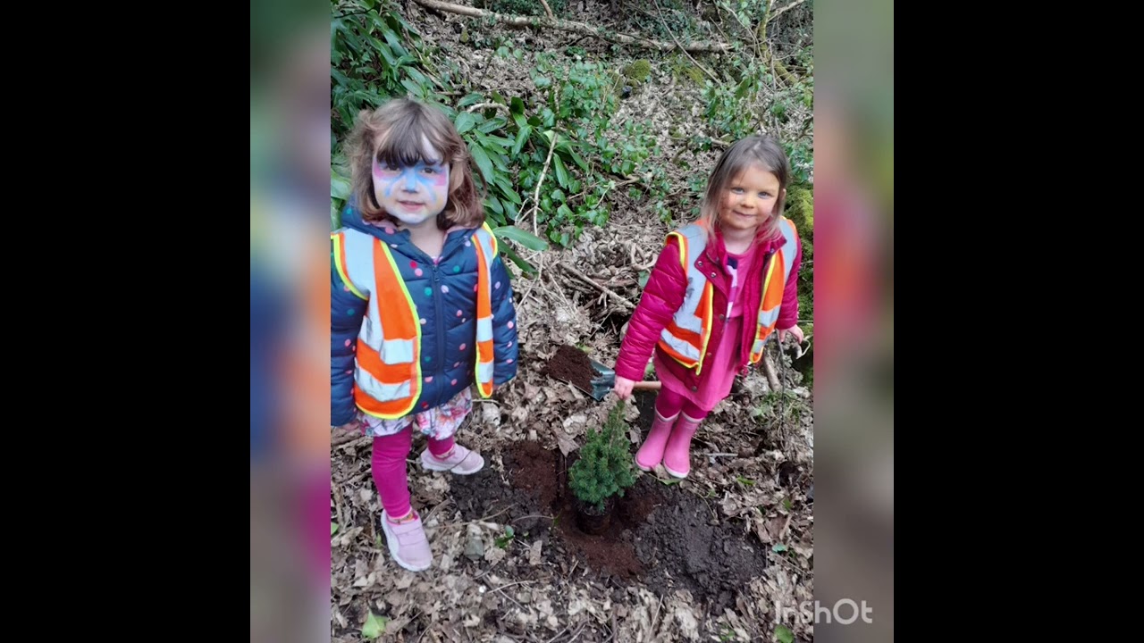 Johnston Nursery Woodland YouTube